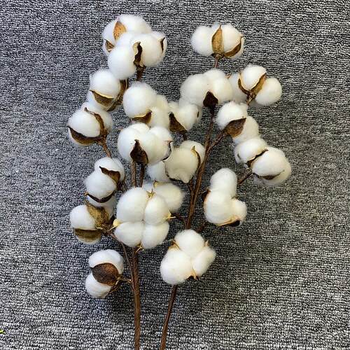 Artificial Dried Cotton Flowers White Flower Branch For Wedd