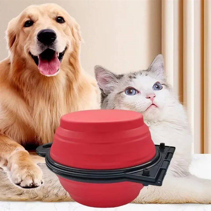 1-piece 2-in-1 Foldable Dual Bowl Feeding Bowl Portable Outd - 实物图