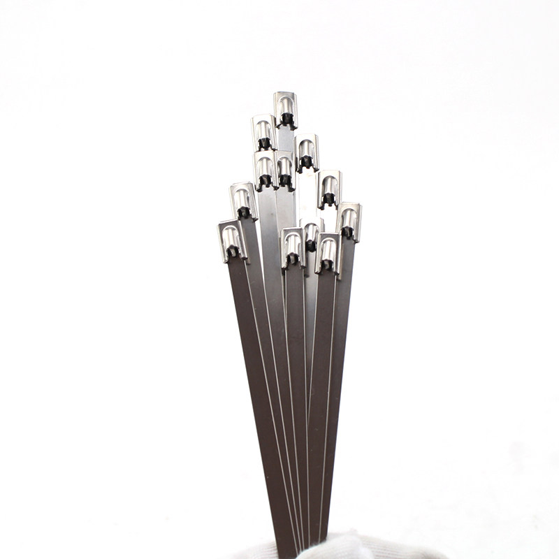 源生30不锈钢扎带卡扣滚珠自锁式捆扎带收束带铁丝固定绑扎带.