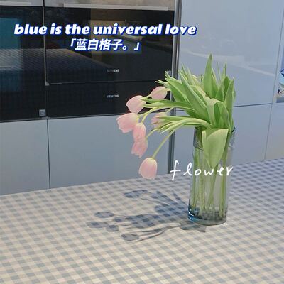 checkered tablecloth rectangular square table picnic cloth