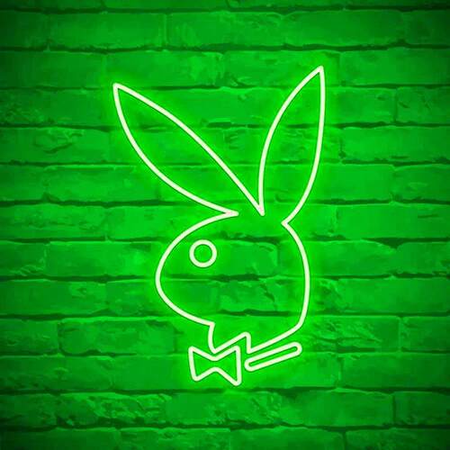 LED Neon Acrylic Rabbit Shape Sign Light Indoor Bedroom Livi