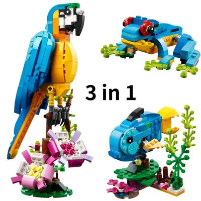 3in1ParrotBuildgTo