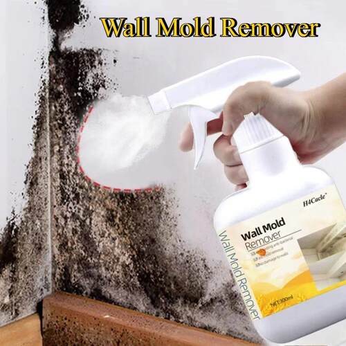 MoldRemoverSprayPnt