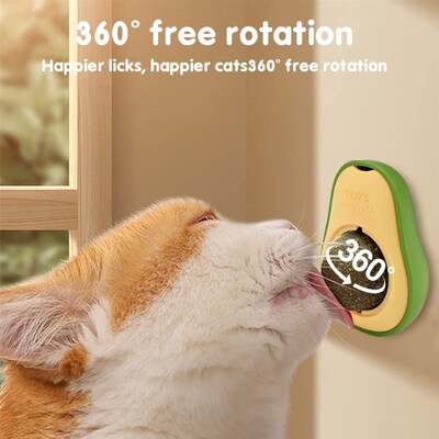 Avocado catnip licking ball toys for cats free shipping nart