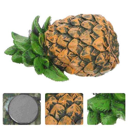 Fruit Fridge Magnet Magnets Magnetic Sticker Vegetables