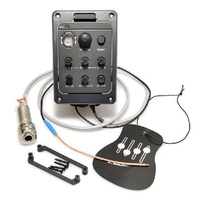 301 Acoustic Guitar Preamp Pickup Double Model Guitar