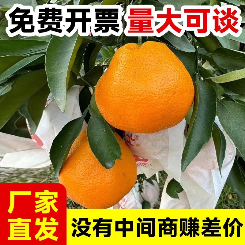 柑橘袋果袋专用袋耙耙柑春见防虫防水防鸟纸袋水果保护袋,农机/农具/农膜,水果套袋/果袋,淘宝优惠券,粉丝福利购,淘宝优惠卷