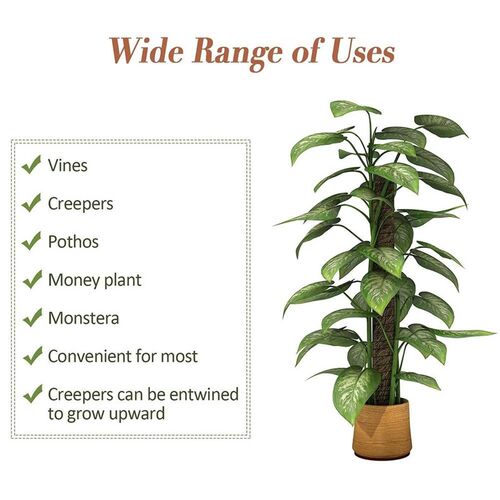 80/70/60/50CM Plant Support Coir Moss Totem Pole Coconut St