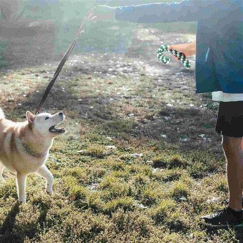 3 Pcs Pet Cotton Rope Toy Small Dog Toys Molar Chew Biting