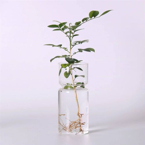 DIY Micro Landscape Clear Hyacinth Glass Vase Flower Planter