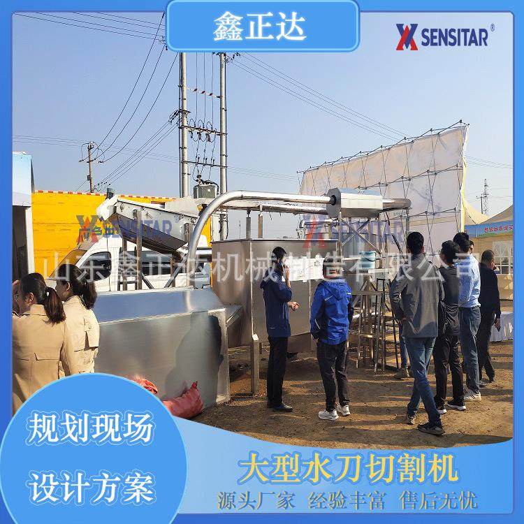 大型土豆水刀切条机 薯条生产线水力切刀 不羽化不断条,清洗/食品/商业设备,果蔬加工设备,淘宝优惠券,粉丝福利购,淘宝优惠卷