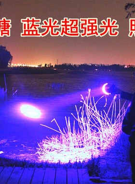 V蓝光P200感应灯头钓鱼灯P100夜钓头灯2V外接分体式野台钓