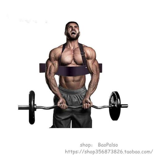 Weight Lifting Arm Blaster Biceps Curl Muscle Training Board