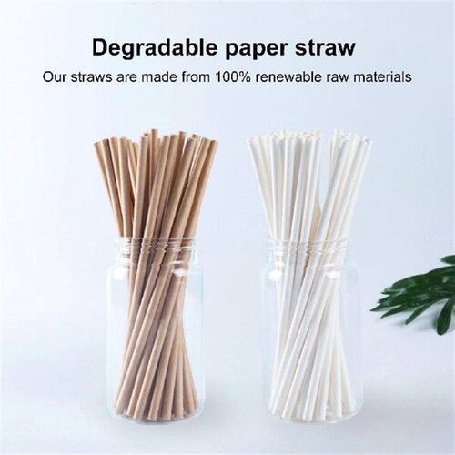 100 Pcs Paper Straws Compostable Biodegradable Straws 7.75