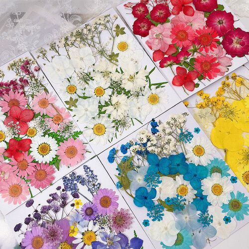 Dry Flower Embossed Diy Handmade Photo Frame Bookmark Glue P