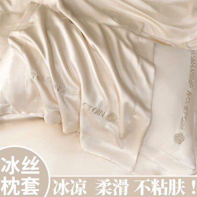 Silk Satin Pillowcase Pillow Cover Pillows Case decoration