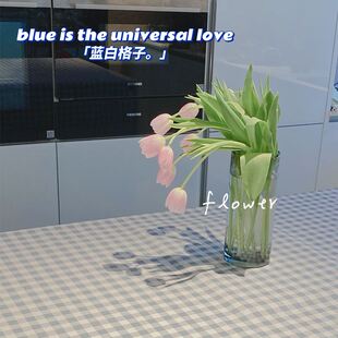 checkered tablecloth rectangular square table picnic cloth