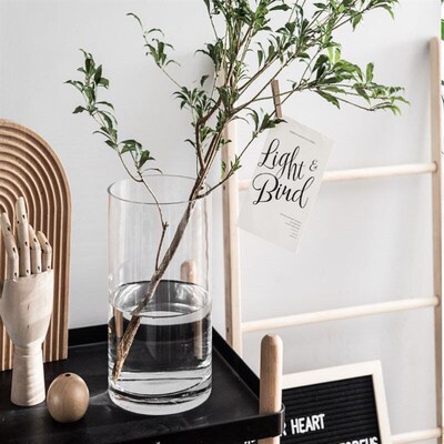 Vase furnishing articles flower arranging transparent glass
