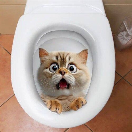 Creative 3D Cat Animal Toilet Stickers For Bathroom Home