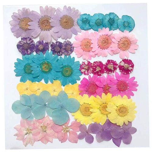 12pcs/Bag Pressed Daisy Dried Flowers Nail Art Decorations N