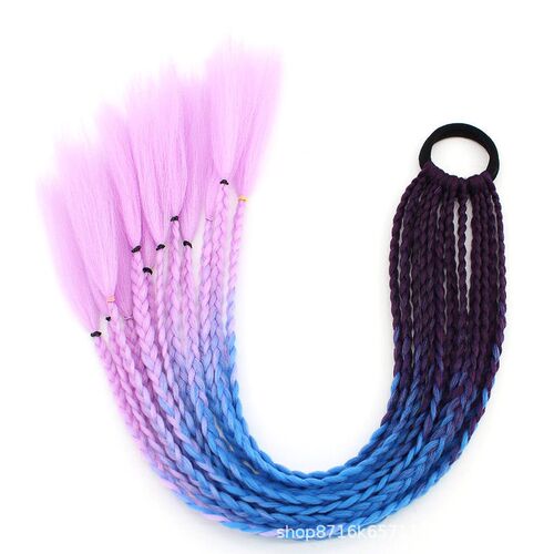 Braided Wig Women Long Hair Color Small Braid Hip Hop Twist