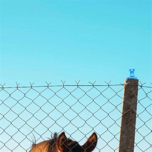 50 Pcs Wire Rabbit Cage Fence Insulator Kit Line Insulators