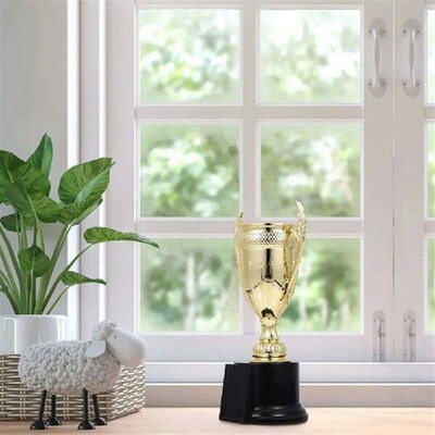 Childrens Trophy Awards Plastic Model Competition Soccer