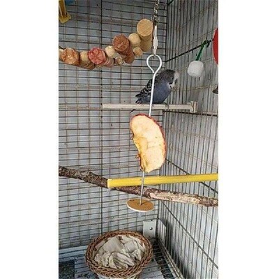 Birds Food Holder Bird Feeders Foraging Toys Stainless