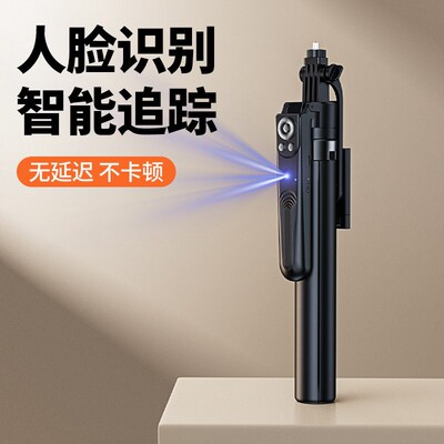 Strictly Selected B181 Intelligent Pan/tilt Pole e Recogniti