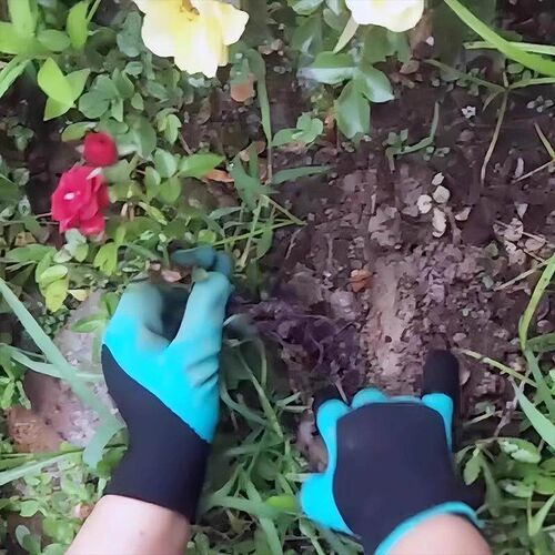Gardening glove designed for right-hand use, featuring punct
