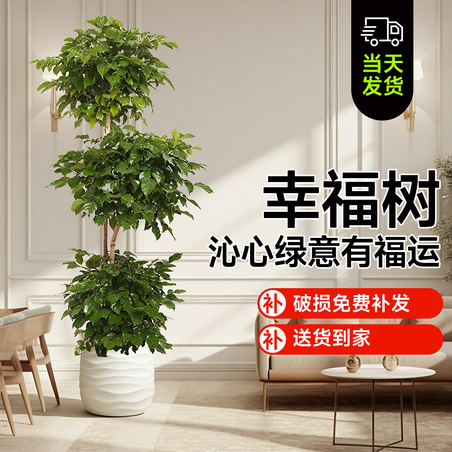ZB三层幸福树北欧风绿植大绿宝大型客厅办公室净化空气室内盆栽