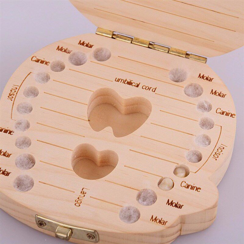 Fallen Tooth Box Storage English Spanish Russian French Ital图片