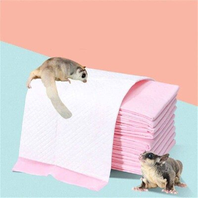 10PCS Sugar Glider Pee Pad Blanket Disposable Absorbent