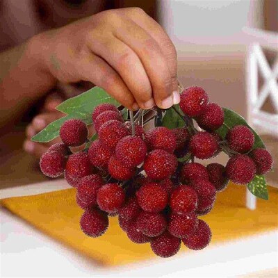Simulated Fruit Skewers Inflatable Decoration Artificial