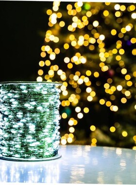 10m-200m LED String Lights Fairy Christmas Garland Outdoor