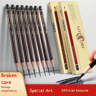 Drawing Sketching Pencil Set 12 Pcs Art Pencils Drawing Grap