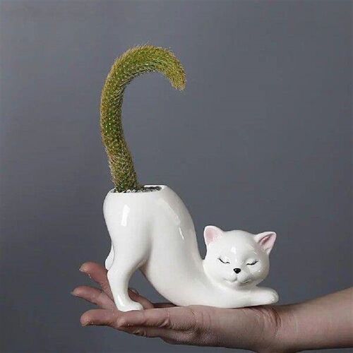 Cartoon Cat Flower Pot Ceramics Succulent Animal Cat Vase