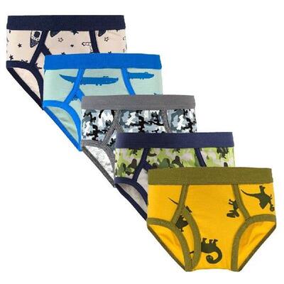 5Pcs/Lot Boys Underwear Shorts Young Dinosaur Panties Kids