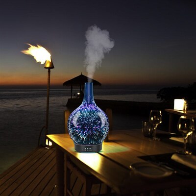 Aromatherapy Essential Oil Diffuser 3D Glass Vase Aroma Diff