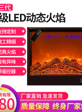 定制壁炉芯仿真火装饰电视柜电子嵌入式美欧式假火焰3D取暖器家用