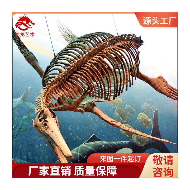 蛇颈龙鱼龙骨架化石仿真恐龙古生物玻璃钢化石树脂动物骨架标本
