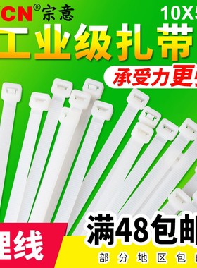 宗意自锁式尼龙扎带10*500mm100条 勒死狗扎带大固定塑料白/黑色