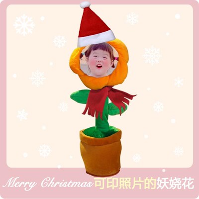 电动仙人掌妖娆花玩具人形玩偶diy照片太阳花学说话唱歌跳舞摆件