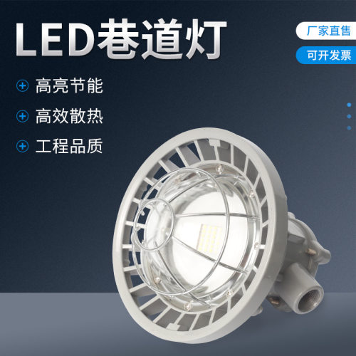 隧道矿用隔爆照明灯LED巷道灯DGS24/127L集成圆形照明灯壳体套件