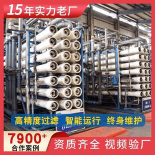 工业反渗透纯水设备生活饮用除盐水净水设备制造业去离子水设备