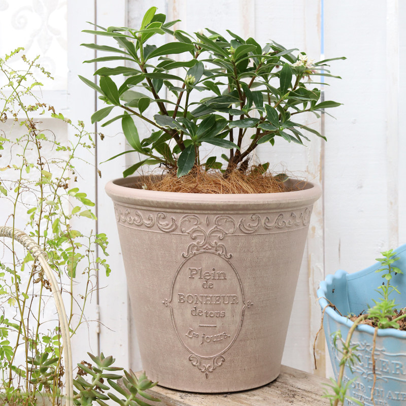 艺品花盆 复古防陶土浮雕泥红刷锈色加厚款花盆,鲜花速递/花卉仿真/绿植园艺,花盆,淘宝优惠券,粉丝福利购,淘宝优惠卷