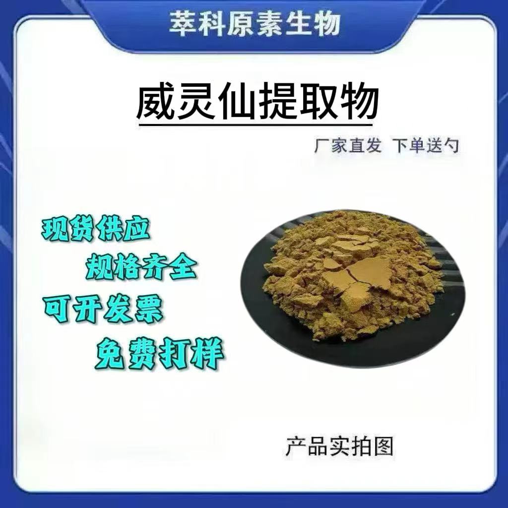 501威灵仙提取物浓缩粉