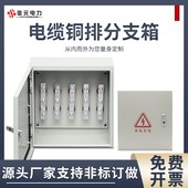 电缆铜排T接箱矿物质分支配电箱楼层低压接线电箱转化绝缘分线箱