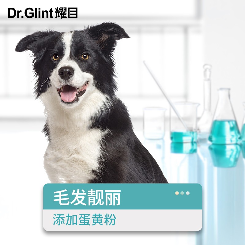 耀目 边牧狗粮幼犬成犬专用边境牧羊犬大型犬粮补钙健骨亮毛20斤