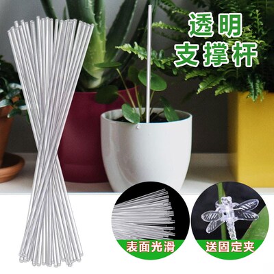 兰花支架透明杆绿植物蝴蝶兰支架亚克力园艺造型固定夹多肉支撑杆